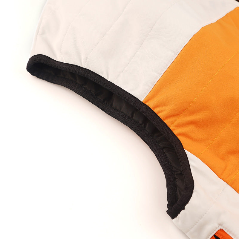 Load image into Gallery viewer, SAVIOR unisex heated ski jacket
